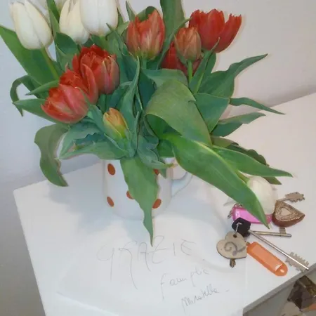 Bed & Breakfast B&b&apartments Al Duomo Trento