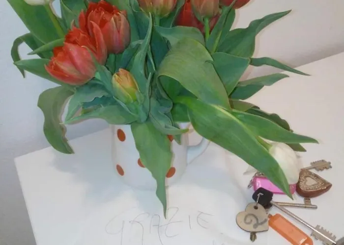 Bed & Breakfast And Al Duomo Trento